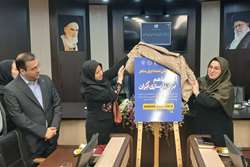 آغاز اجرای پویش «امداد ایران‌ماهر» و طرح مشاغل عمومی در اصفهان