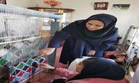 رئیس اداره امور عشایر استان قزوین گفت: ۲۶ نفر از دختران عشایر استان در گلیم بافی مهارت آموزی شرکت کردند.
