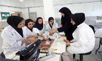 مدیرکل آموزش فنی وحرفه‌ای استان البرز از صدور ۲۶۴ مجوز فعالیت برای آموزشگاههای آزاد فنی و حرفه ای در استان خبر داد. 