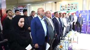 وزیر رفاه در جریان سفر توسعه منطقه‌ای به استان فارس مطرح کرد: سه طرح جدید برای رونق مراکز آموزش فنی‌وحرفه‌ای